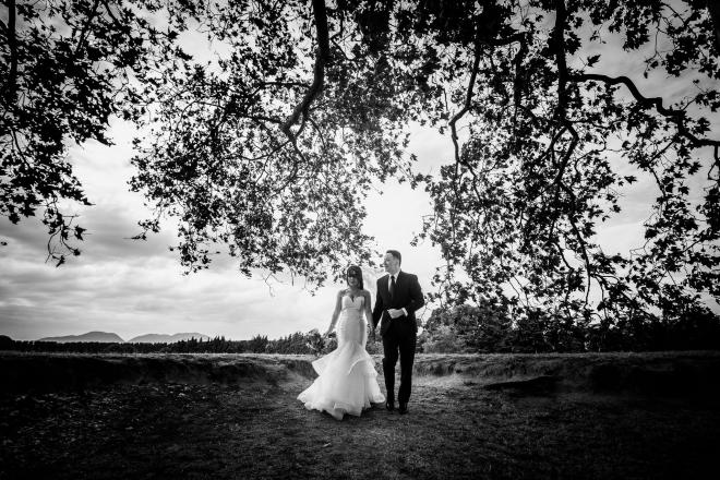 wedding pictures
