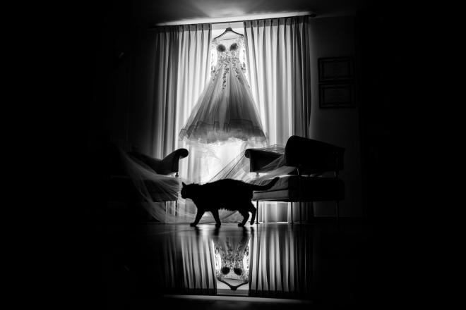 wedding pictures