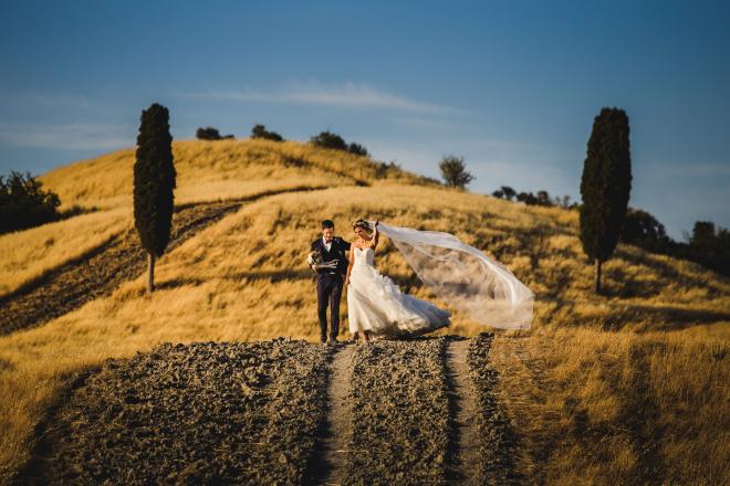 wedding pictures