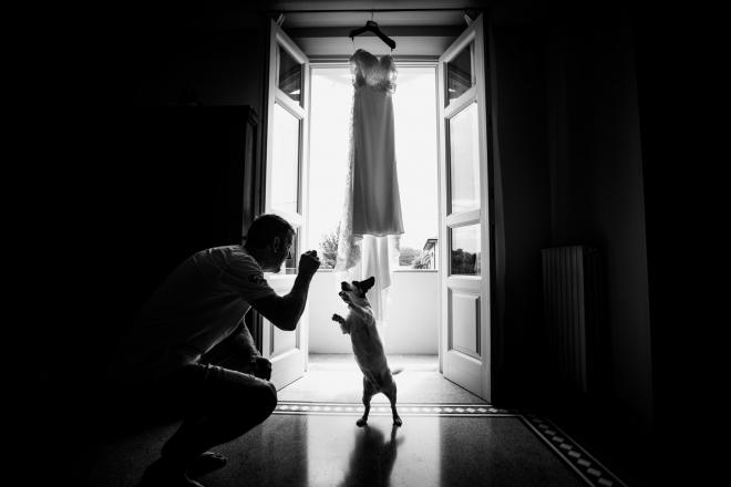 wedding pictures