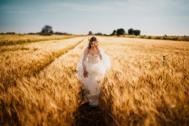 wedding pictures