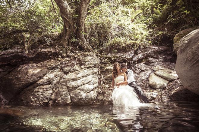 wedding pictures