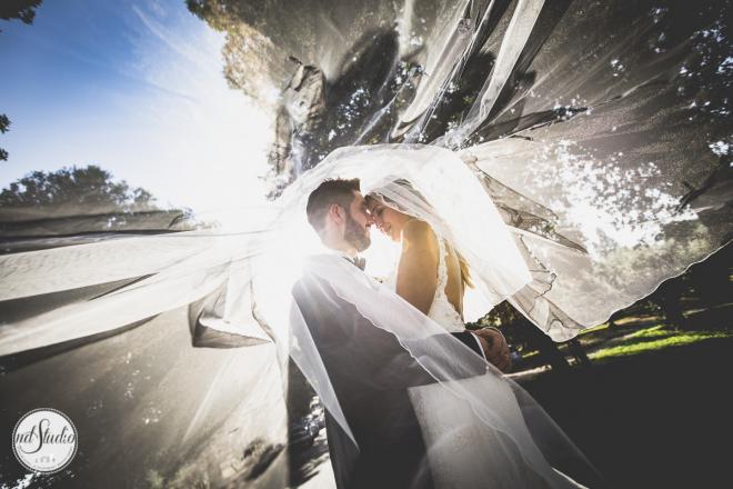 wedding pictures